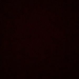 Meet your Posher, Laila